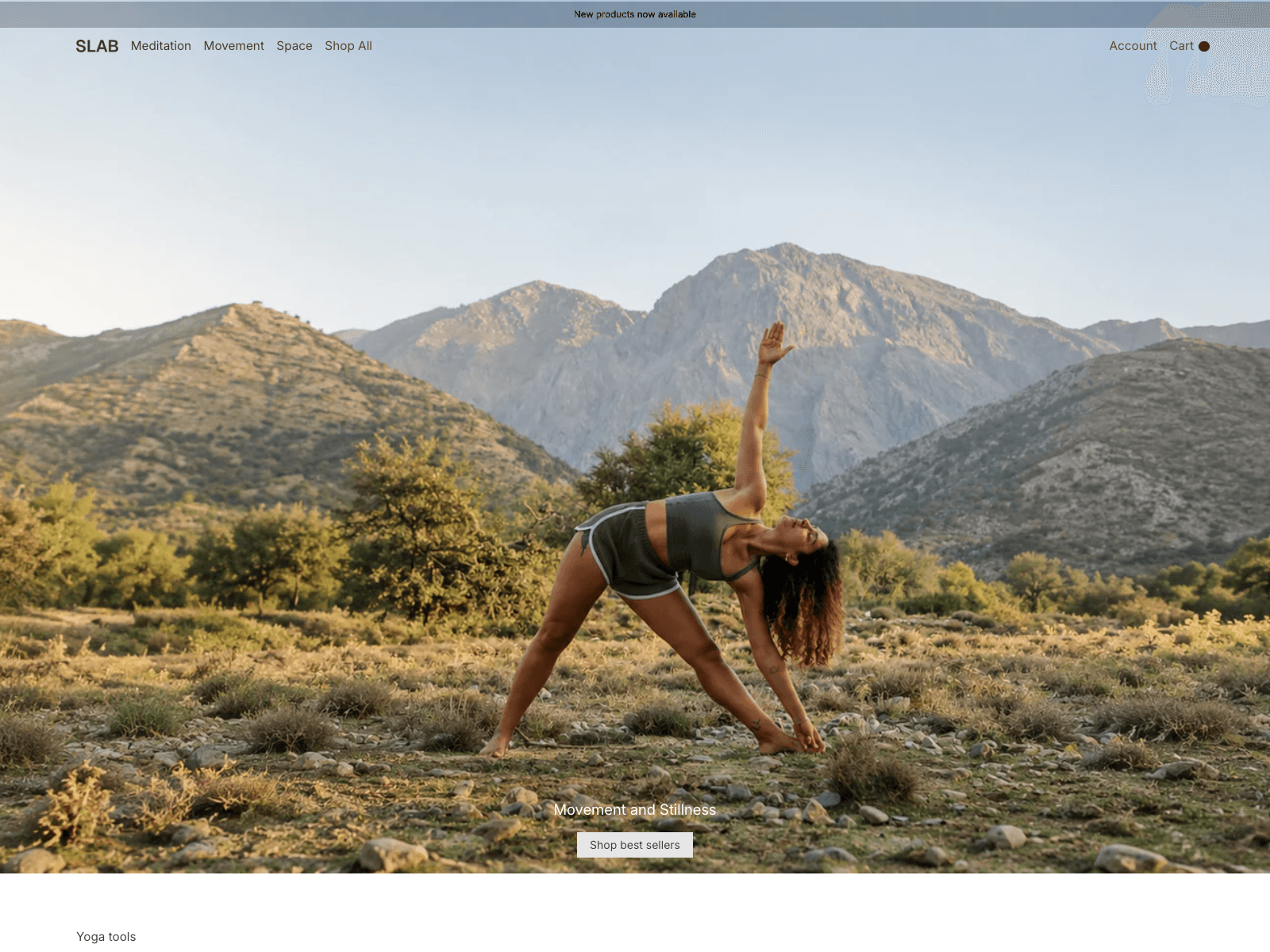 Granola — desktop view